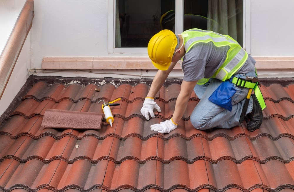 Roof Maintenance