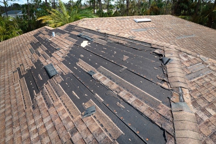 Shingle Damage in Montgomery