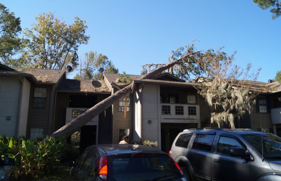 storm damage restoration services in Willis